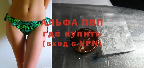 стаф Арсеньев