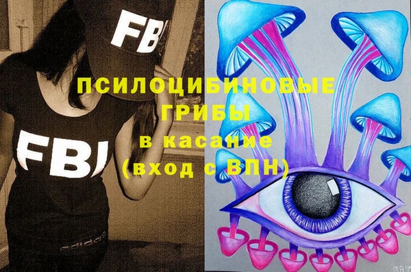 стаф Арсеньев