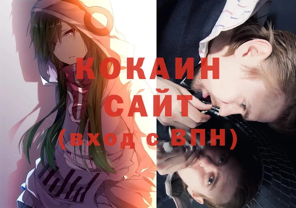 стаф Арсеньев