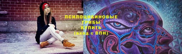 стаф Арсеньев