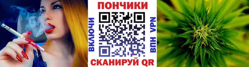 Купить закладки  Железногорск-Илимский  Конопля тримм 